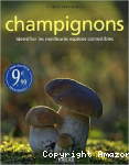 champignons